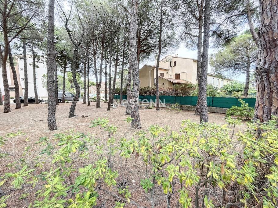 2980-Appartement 1 Ch A 100M De La Mer Аржеле-сюр-Мер Екстериор снимка