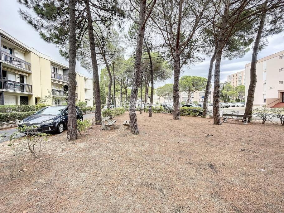 2980-Appartement 1 Ch A 100M De La Mer Аржеле-сюр-Мер Екстериор снимка